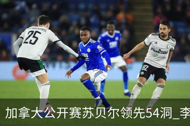 加拿大公开赛苏贝尔领先54洞 李昊桐79杆大滑坡