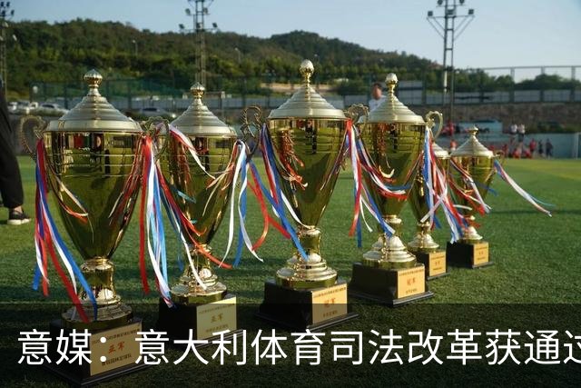 意媒：意大利体育司法改革获通过，新体系将使体育总检察院更关键