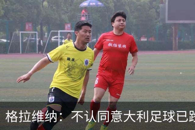 格拉维纳：不认同意大利足球已跌至最低点 对未晋级世界杯失望